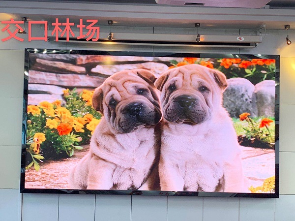 微信图片_20200909144059.jpg